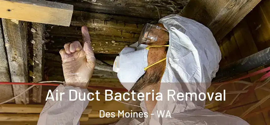  Air Duct Bacteria Removal Des Moines - WA