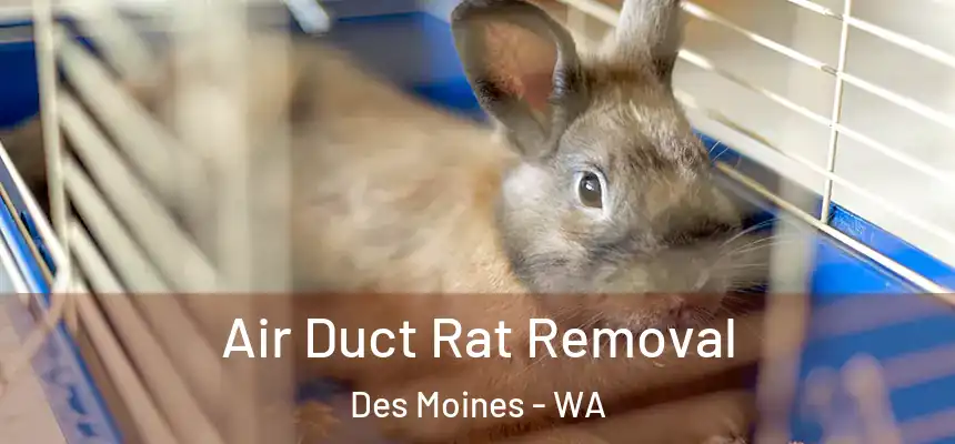  Air Duct Rat Removal Des Moines - WA