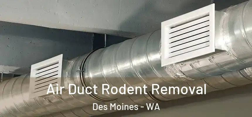  Air Duct Rodent Removal Des Moines - WA
