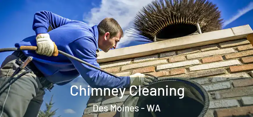  Chimney Cleaning Des Moines - WA