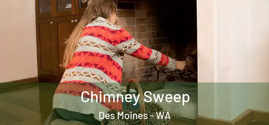  Chimney Sweep Des Moines - WA