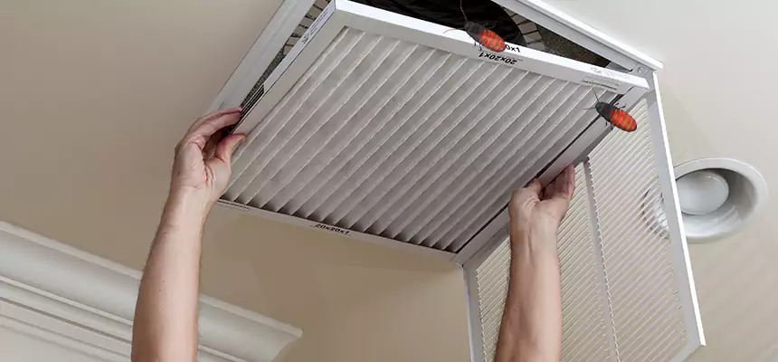 Preventive Cockroach-Proofing for Ducts in Des Moines