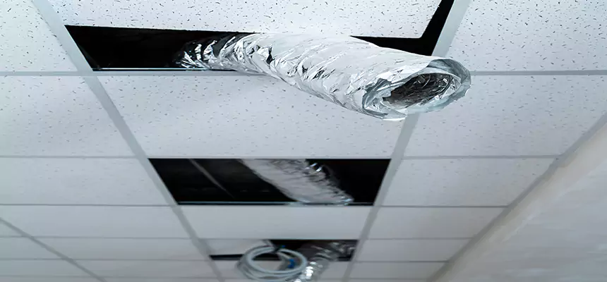 Our Air Duct Pet Hair Removal Services in Des Moines, WA