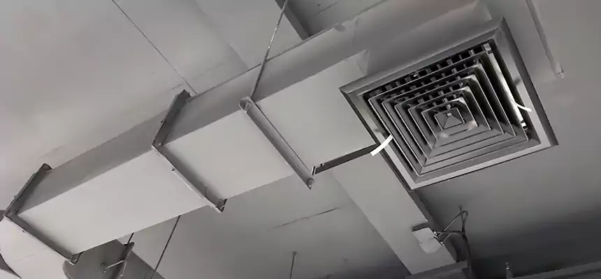 Restorative Allergy Relief Vent Cleaning – Coil, Blower & Housing Detail in Des Moines