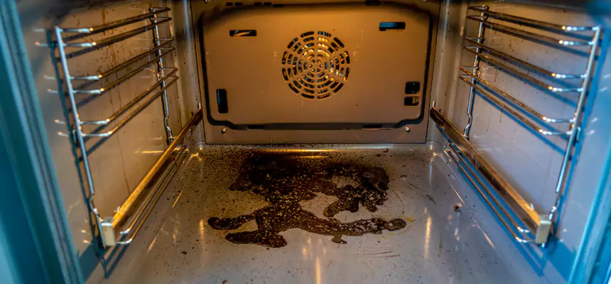 Our Dryer Vent Mold Cleaning Services in Des Moines, WA