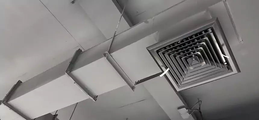 Our Rodent Droppings In Vents Services in Des Moines, WA