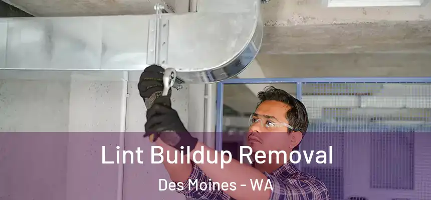  Lint Buildup Removal Des Moines - WA