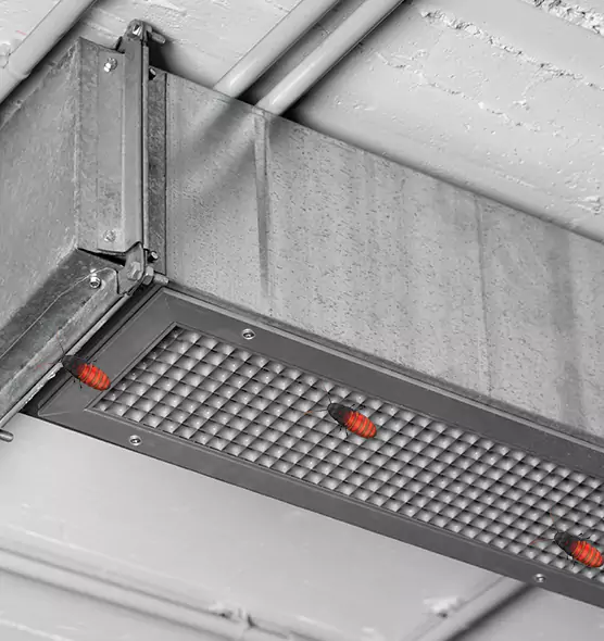 About Air Duct Cockroach Removal in Des Moines, WA