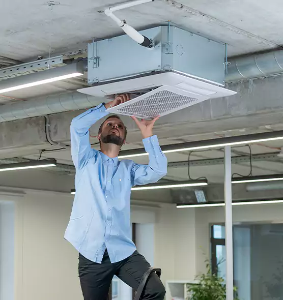Advanced Rodent Droppings In Vents in Des Moines, WA
