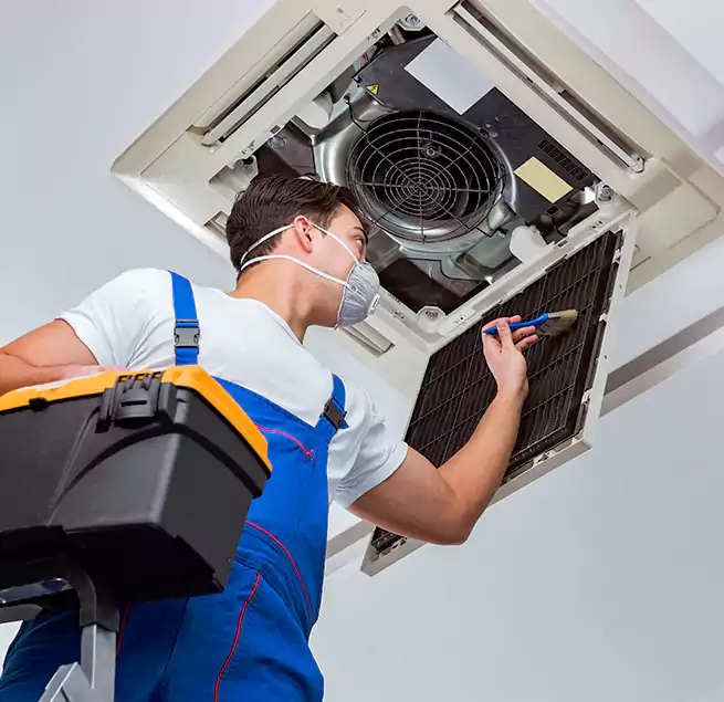 Why Homeowners & Businesses Trust Us in Des Moines, WA