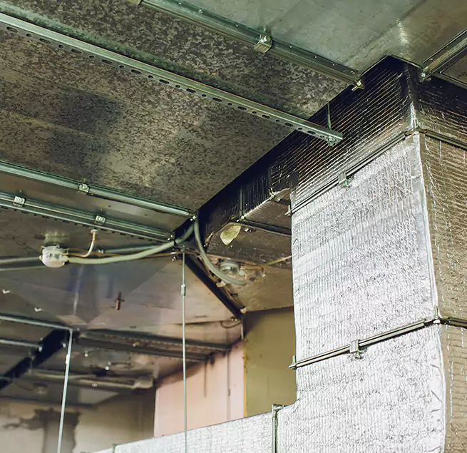 Why Homeowners & Businesses Trust Us in Des Moines, WA?