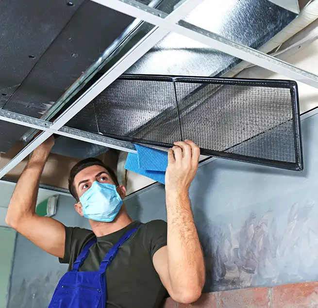 Why Homeowners & Businesses Trust Us in Des Moines, WA?